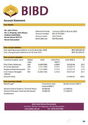 Download Brunei Bank Islam Brunei Darussalam bank statement word